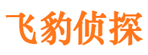 枞阳寻人公司